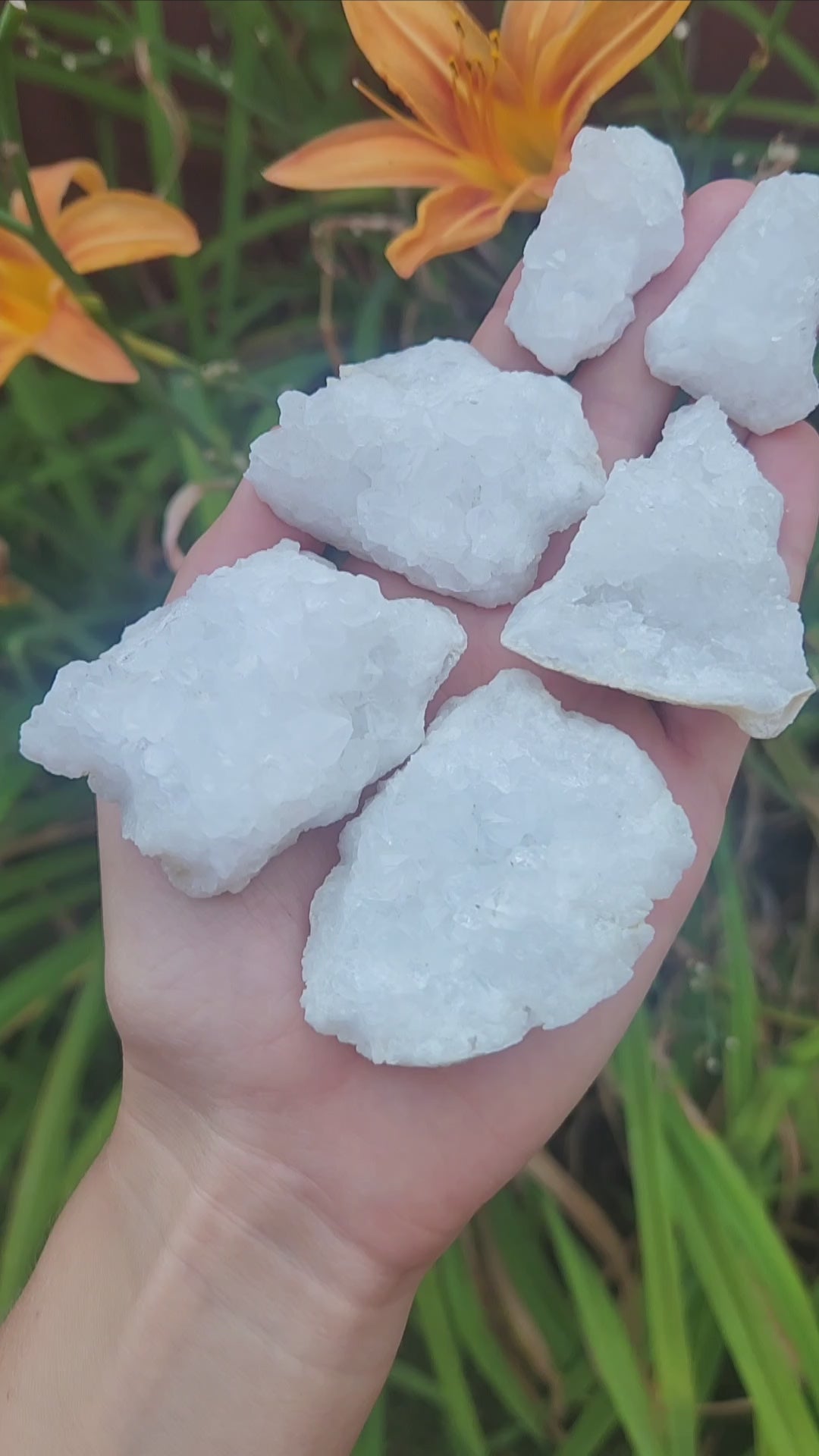 Quartz Crystal Geodes Cracked Open