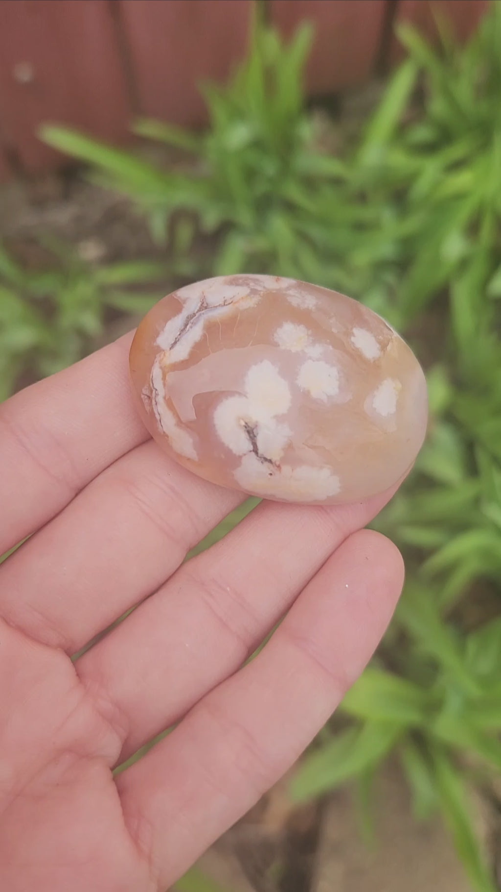 Flower Agate Crystal Palm Stone