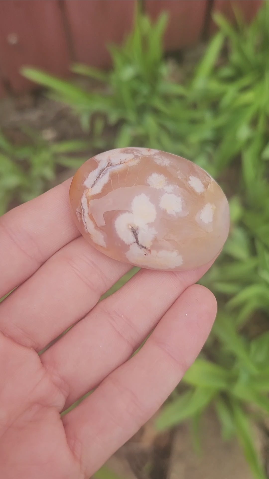 Flower Agate Crystal Palm Stone