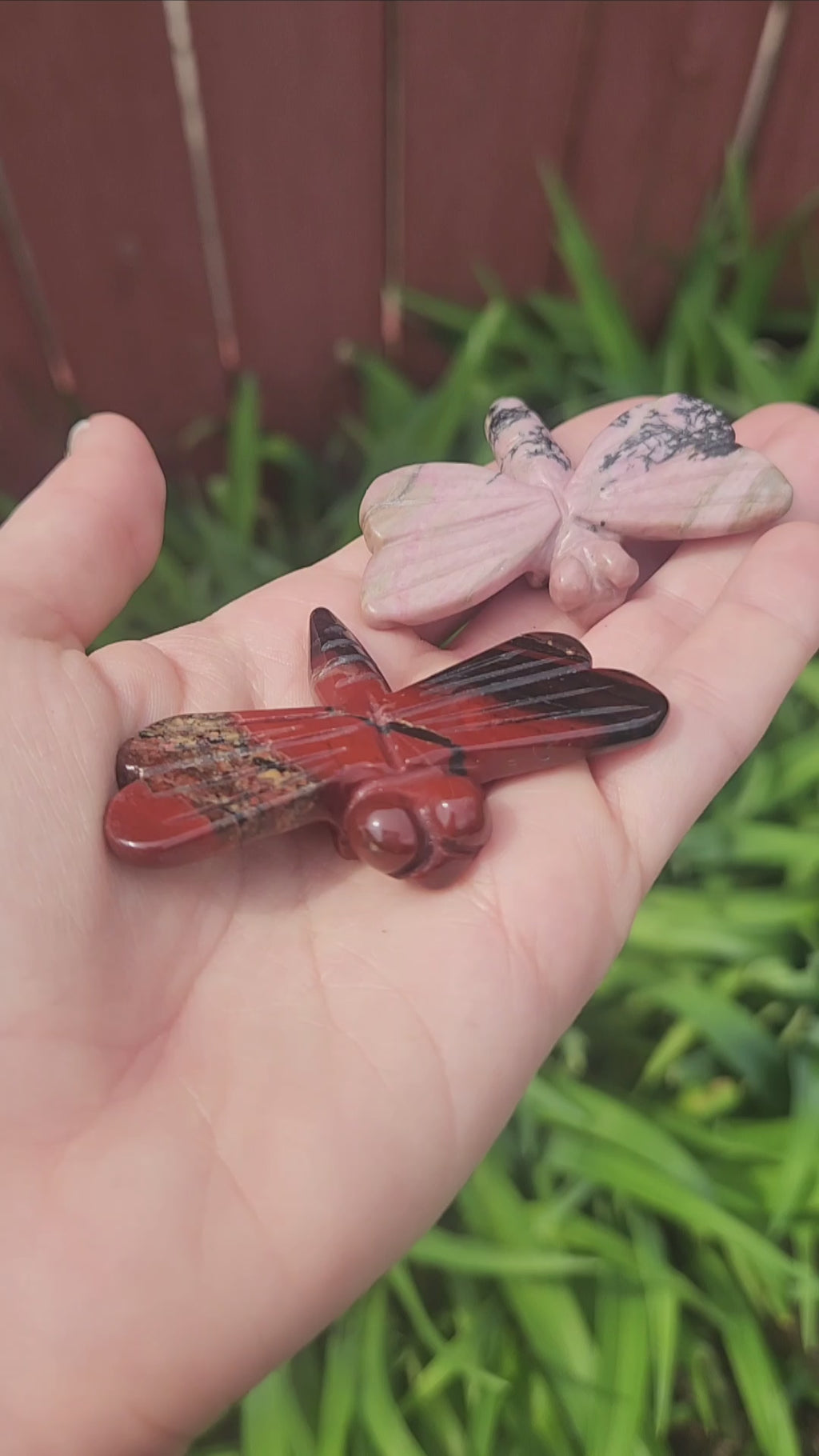 Carved Stone Dragonfly Crystal Figurine 2.25" Animal Totem