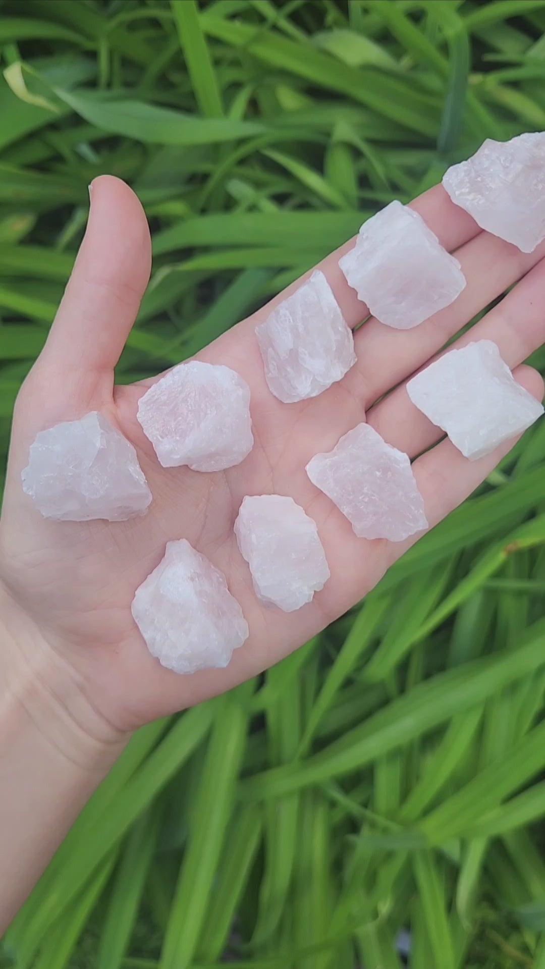 Raw Rose Quartz Crystals