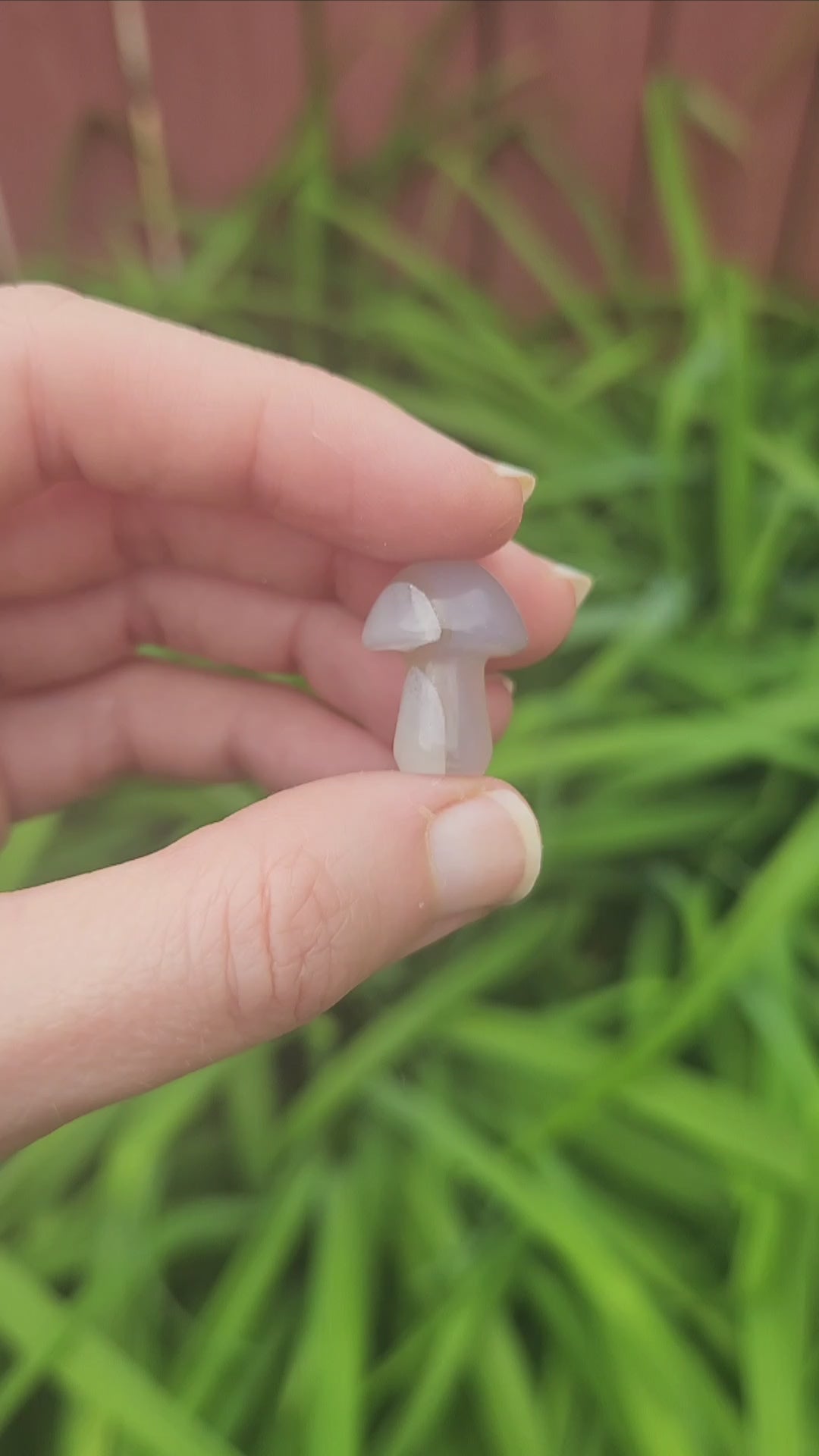 Mini Crystal Mushroom Carving 