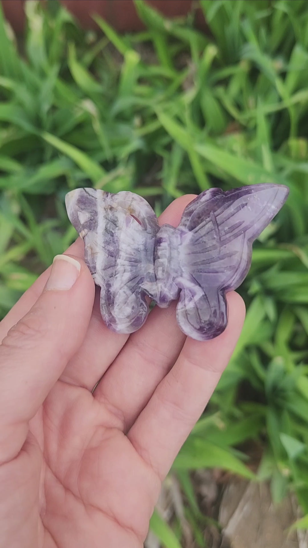 Chevron Amethyst Crystal Butterfly Carving