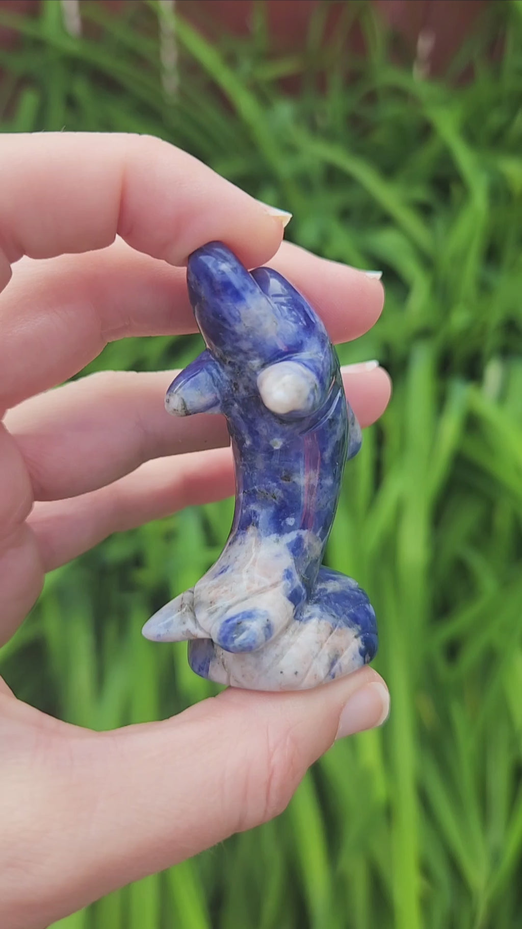 Blue Sodalite Crystal Dolphin on Wave Figurine