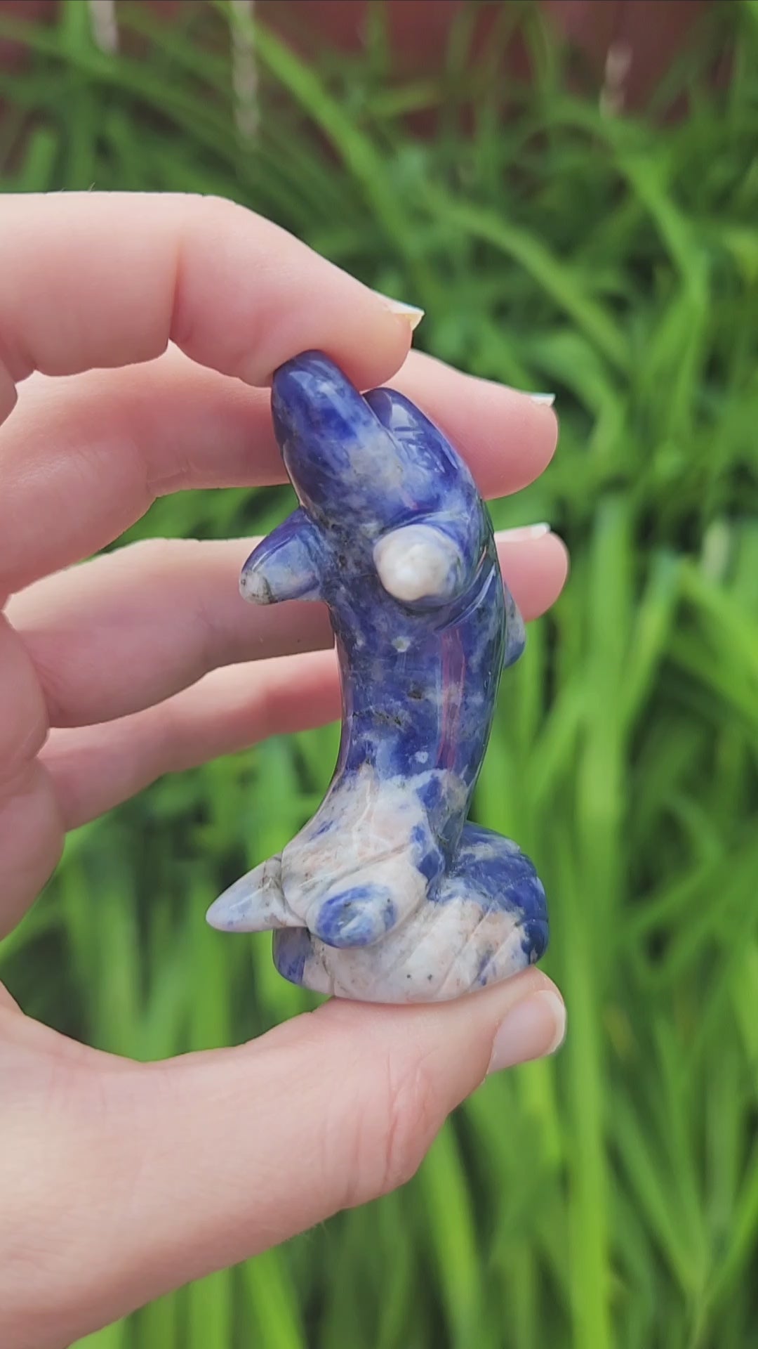 Blue Sodalite Crystal Dolphin on Wave Figurine
