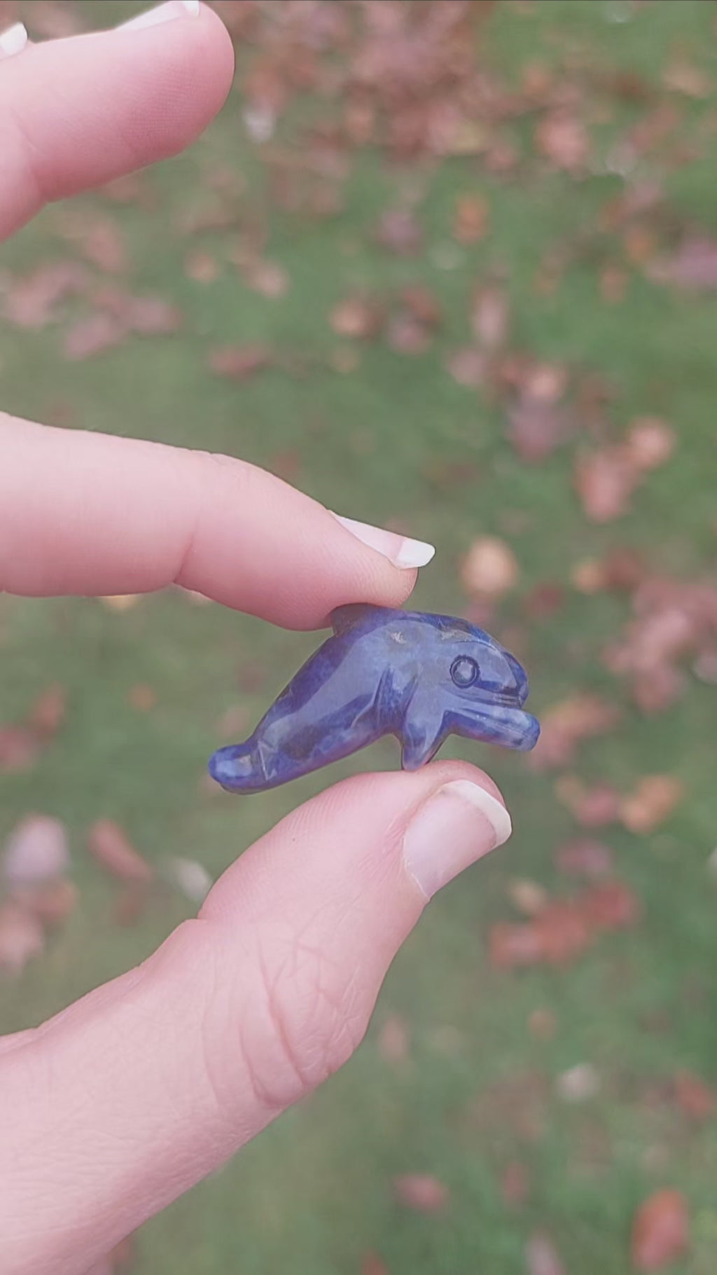 Mini Crystal Dolphin Figurine - Stone Animal Totem