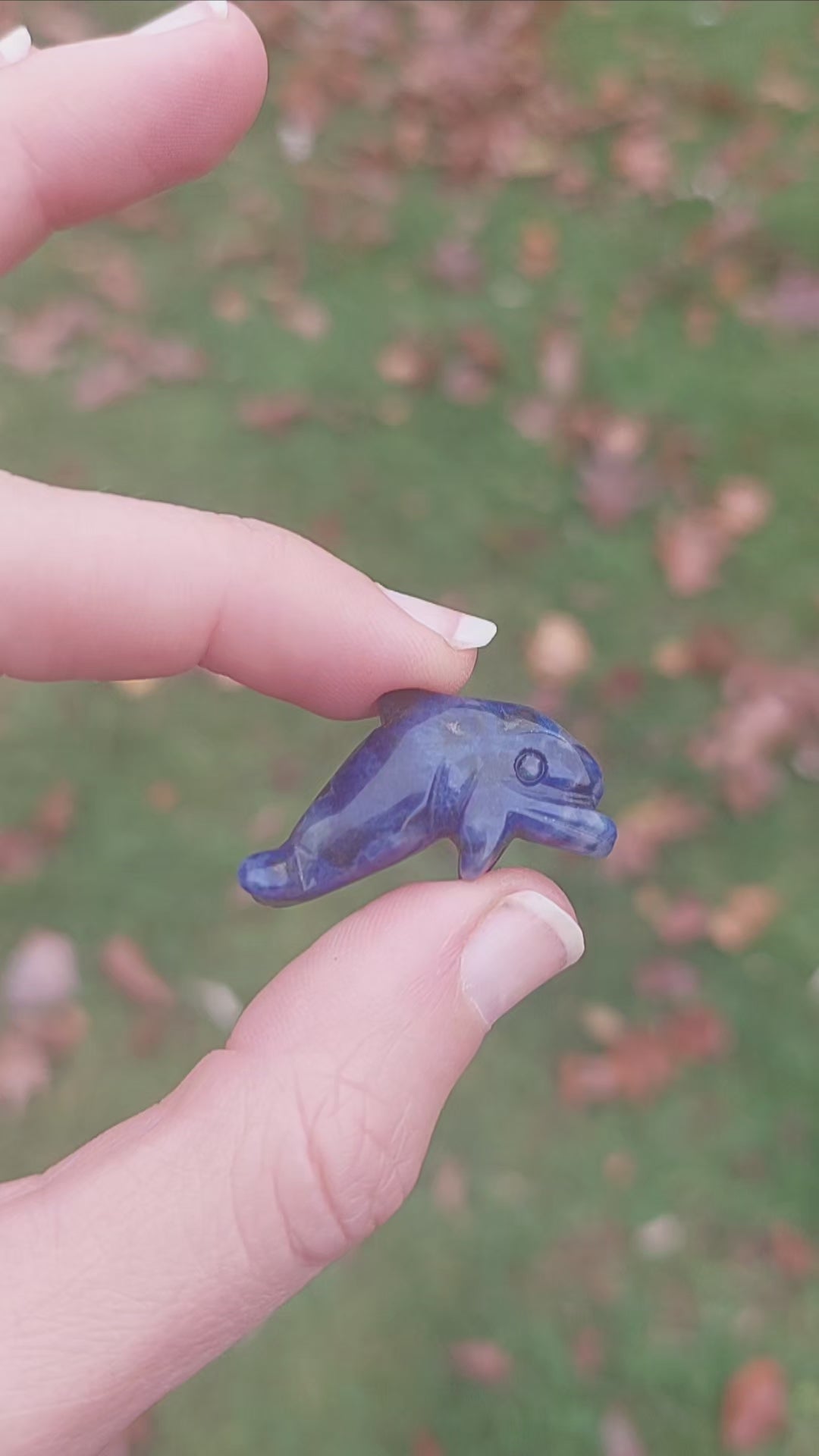 Mini Crystal Dolphin Figurine - Stone Animal Totem
