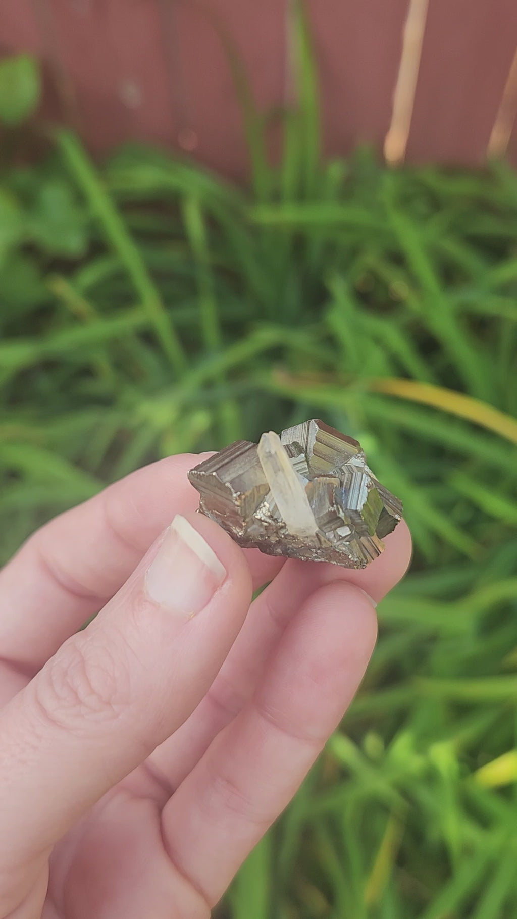 Raw Cubic Pyrite with Quartz Point
