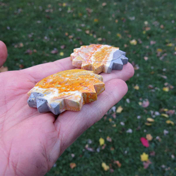 Bumble Bee Jasper Crystal Sun Carving