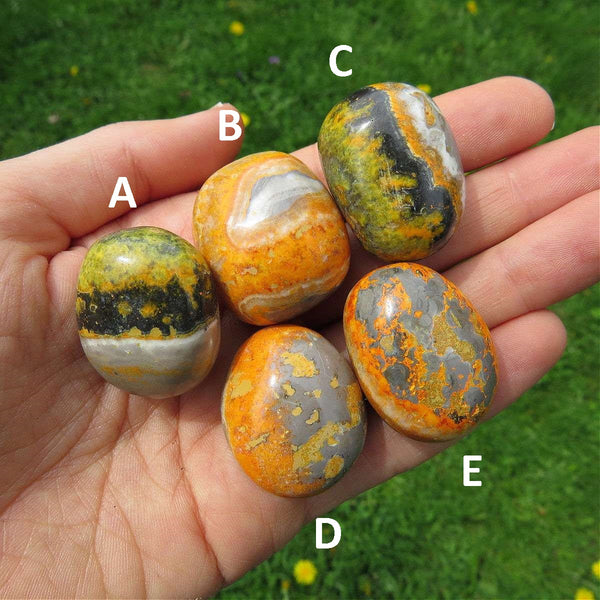 Bumble Bee Jasper Crystal Tumbled Stone 1"