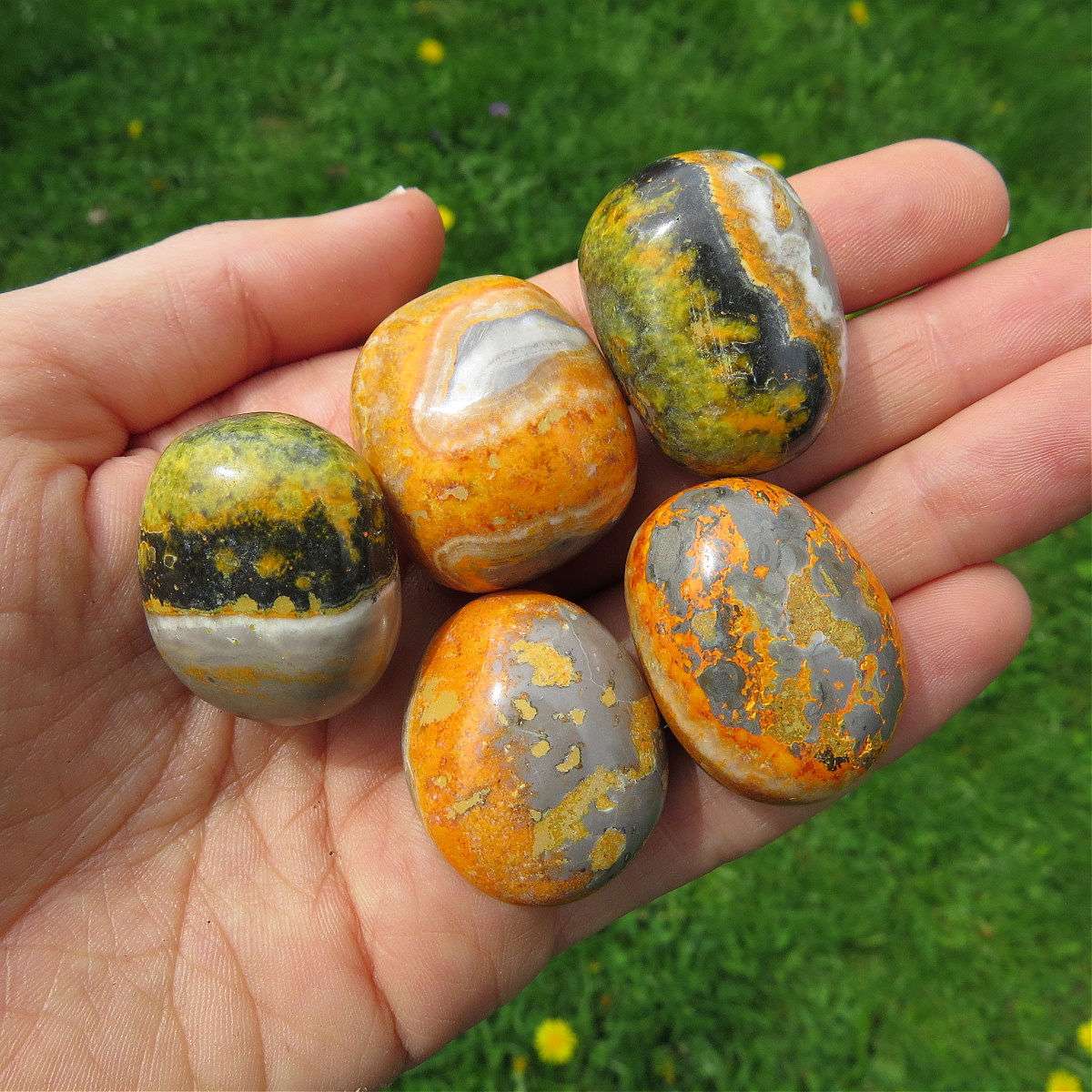 Bumble Bee Jasper Crystal Tumbled Stone