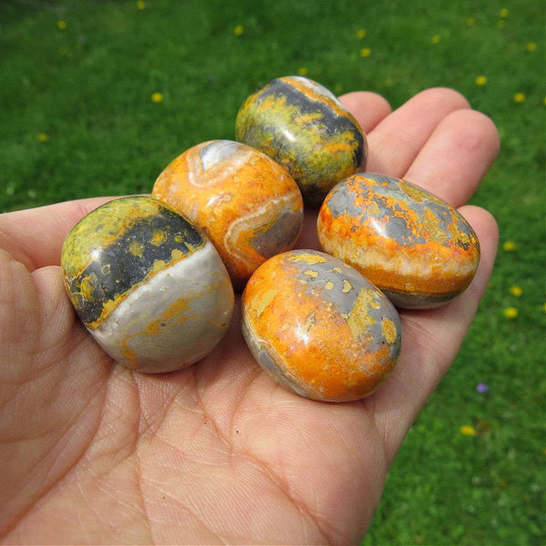 Bumble Bee Jasper Crystal Tumbled Stone 1"