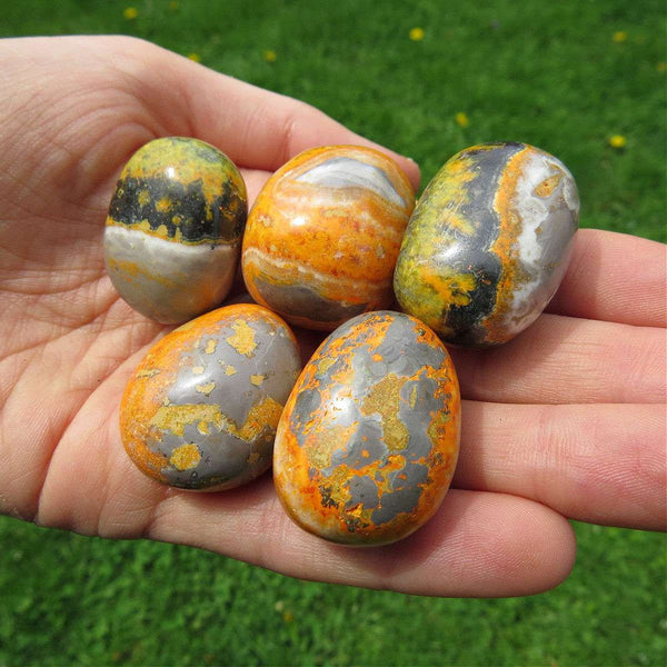 Bumble Bee Jasper Crystal Tumbled Stone 1"