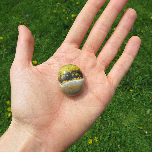 Bumble Bee Jasper Crystal Tumbled Stone 1"
