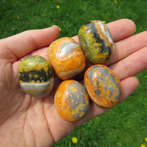 Bumble Bee Jasper Crystal Tumbled Stone