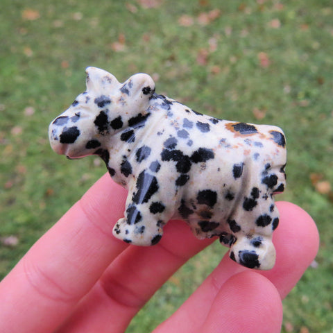 Carved Stone Cow Figurine - Dalmation Jasper Crystal Cow