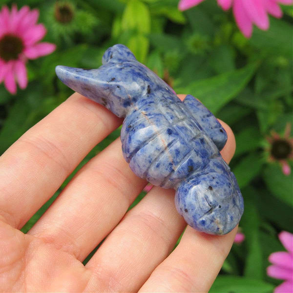 Crystal Seahorse Carving 2.25" Sodalite Stone