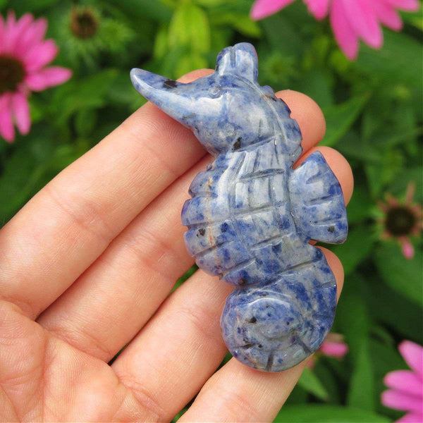 Blue Sodalite Crystal Seahorse Stone Carving