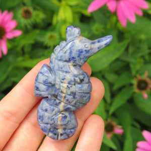 Crystal Seahorse Carving - Sodalite Crystal Animal