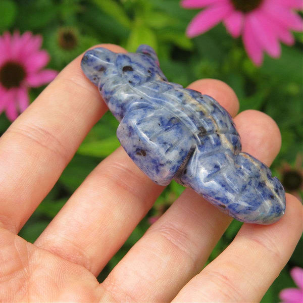 Crystal Seahorse Carving 2.25" Sodalite Stone