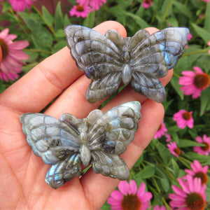 Labradorite Crystal Butterfly Stone Carving