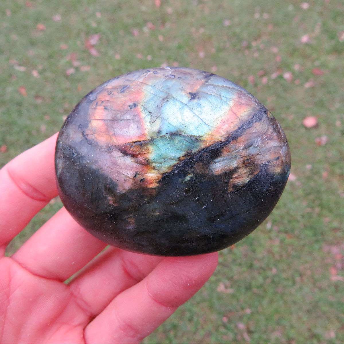 Labradorite Palm Stone