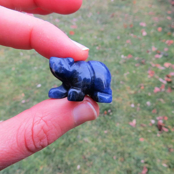 Mini Carved Crystal Bear Figurine - Sodalite Carving