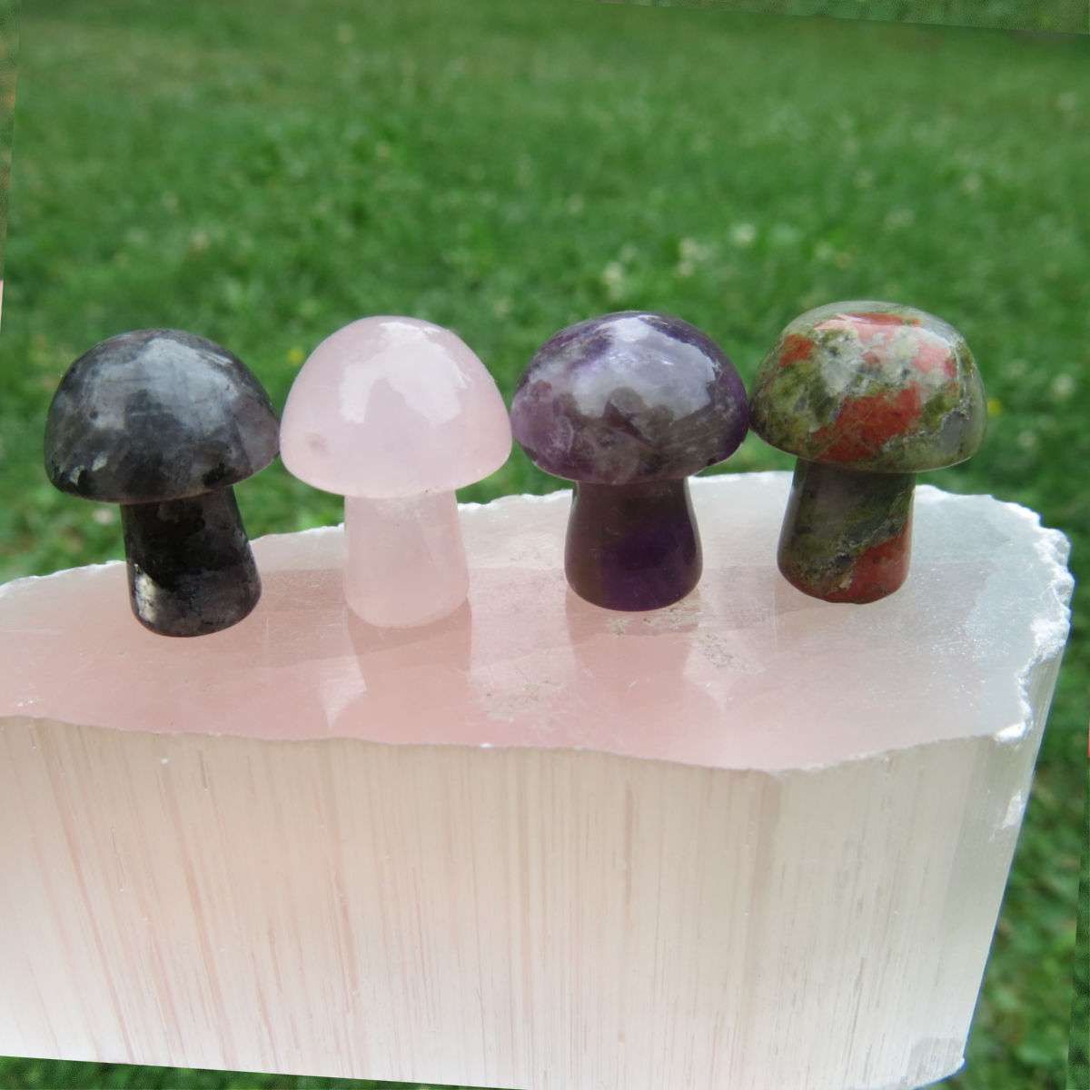 Mini Crystal Mushrooms