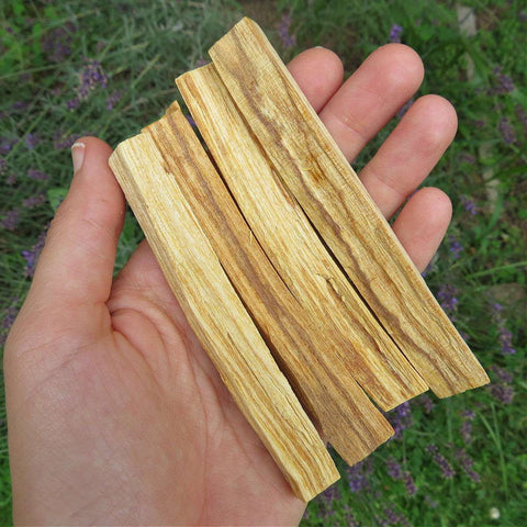 Palo Santo Smudge Sticks Natural Incense Wood