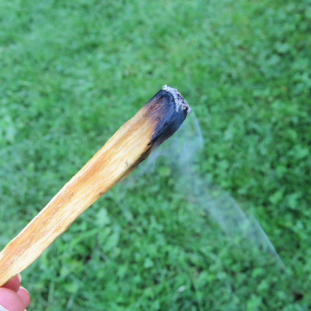 Palo Santo Smudge Stick