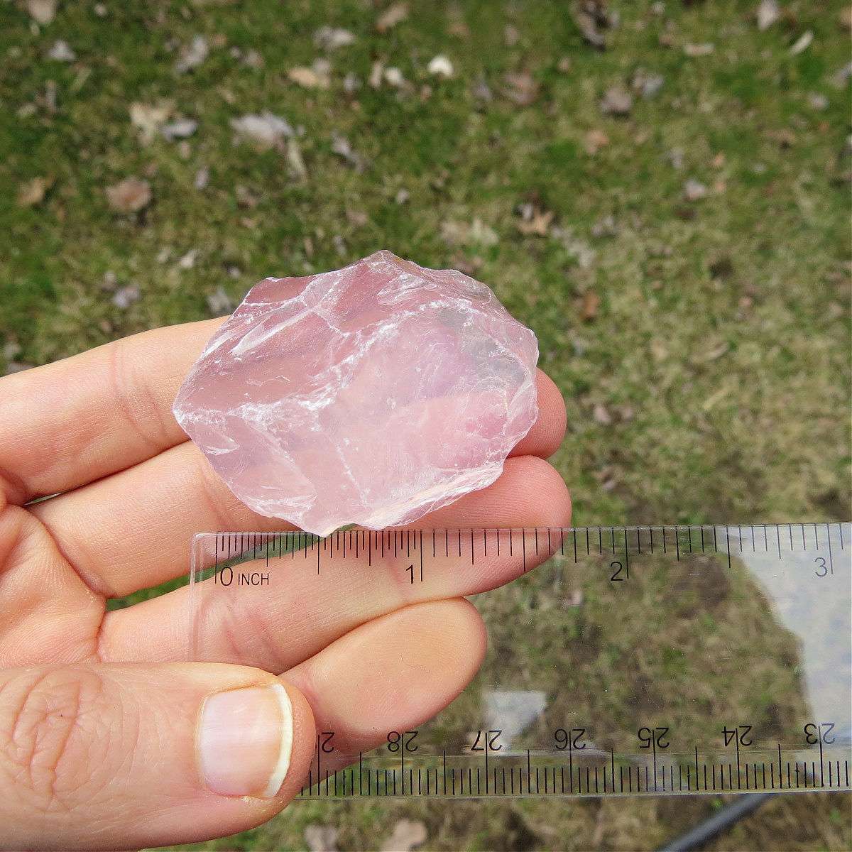 Raw Rose Quartz Crystal 1.75" | Love Stone for Heart Chakra
