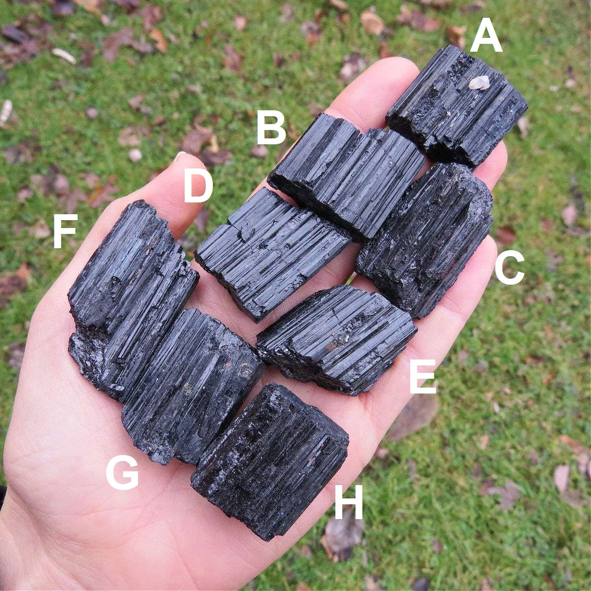 Raw Tourmaline Crystal | Black Tourmaline Stone for Protection & Grounding