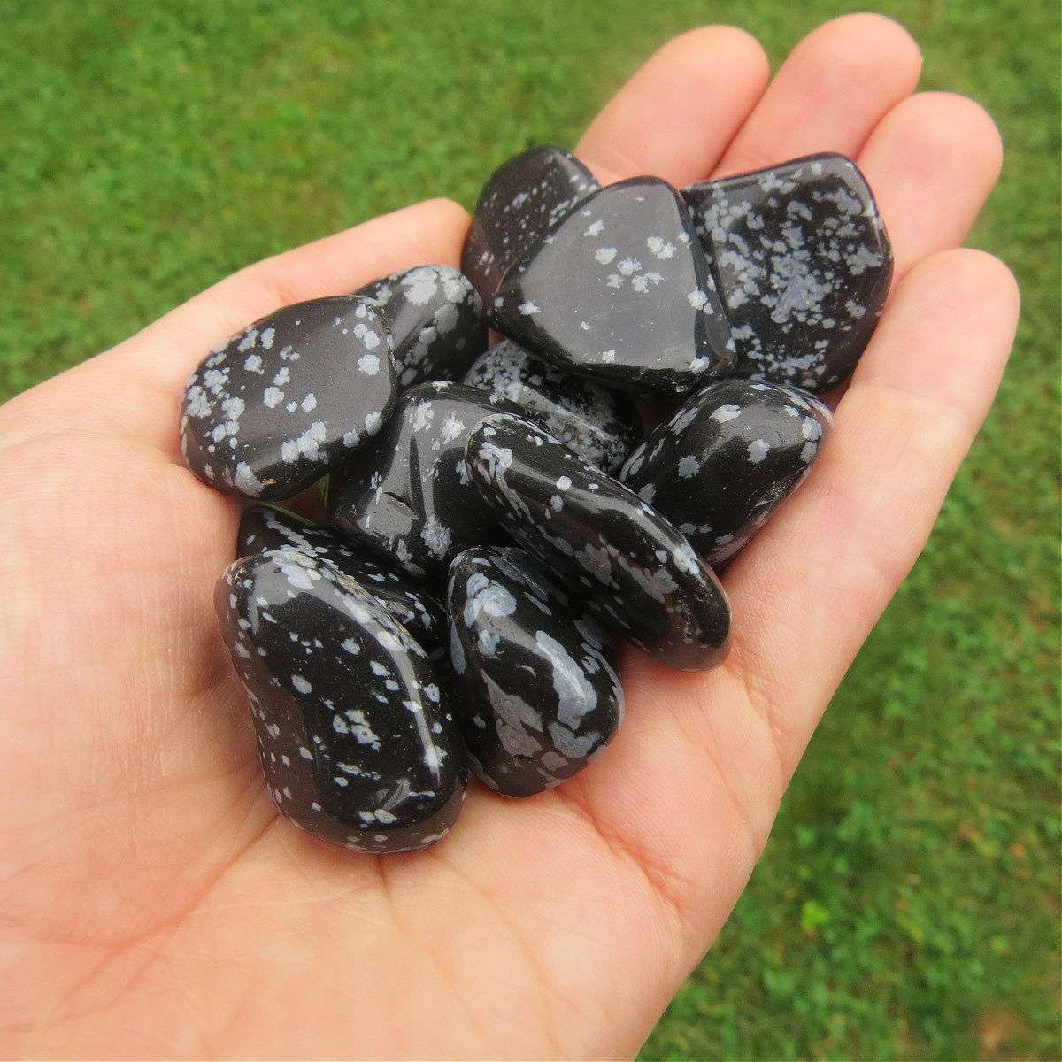 Snowflake Obsidian Tumbled Crystals