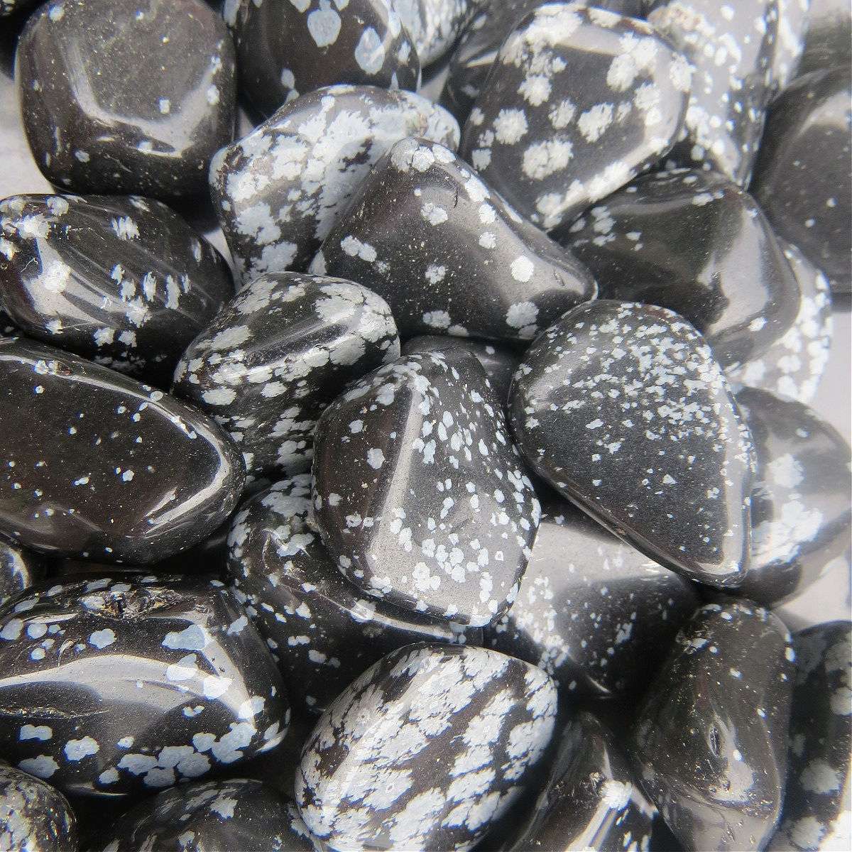 Snowflake Obsidian Tumbled Stone 1" Small Polished Crystal