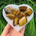 Tigers Eye Tumbled Stone