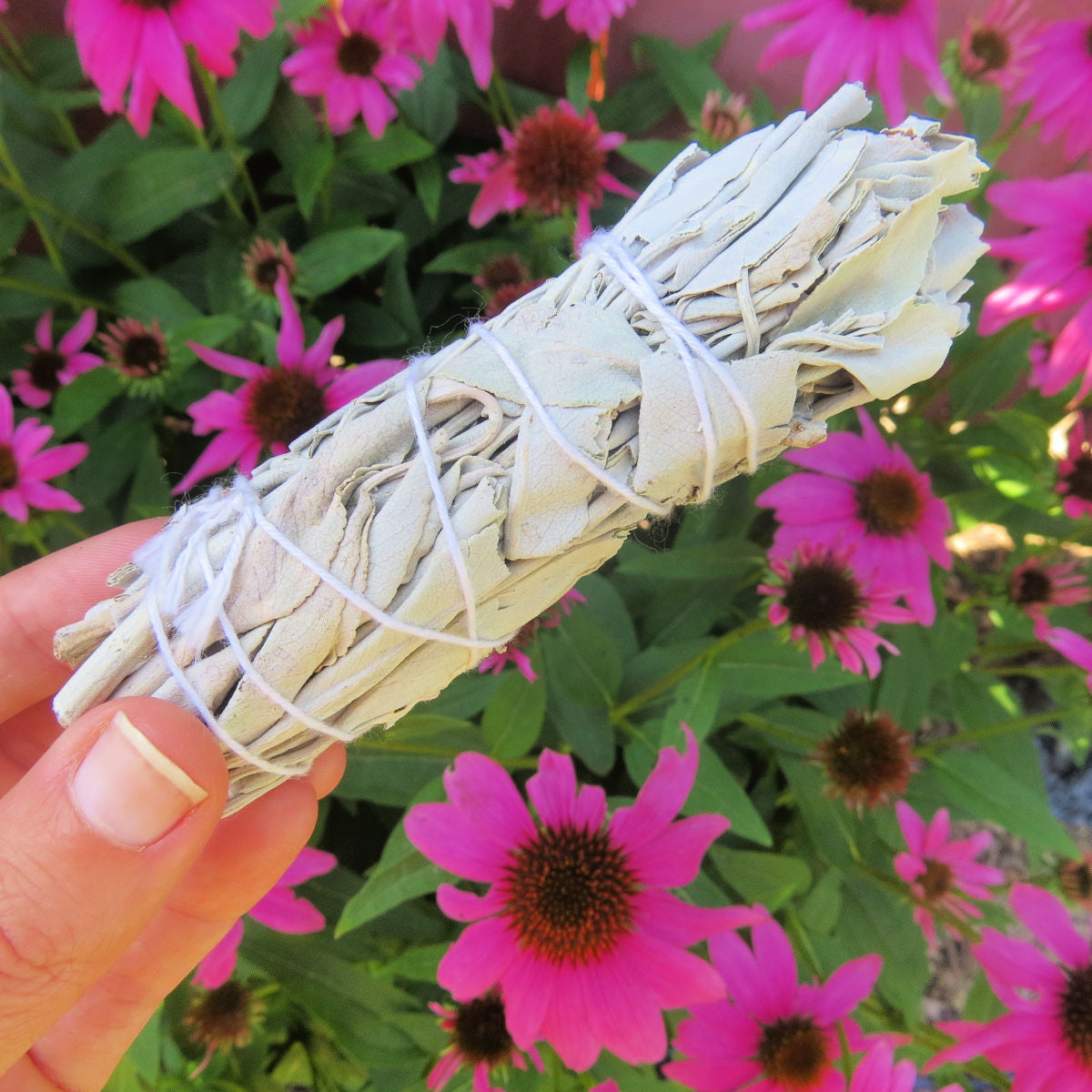 White Sage Smudge Stick - Sage Bundle
