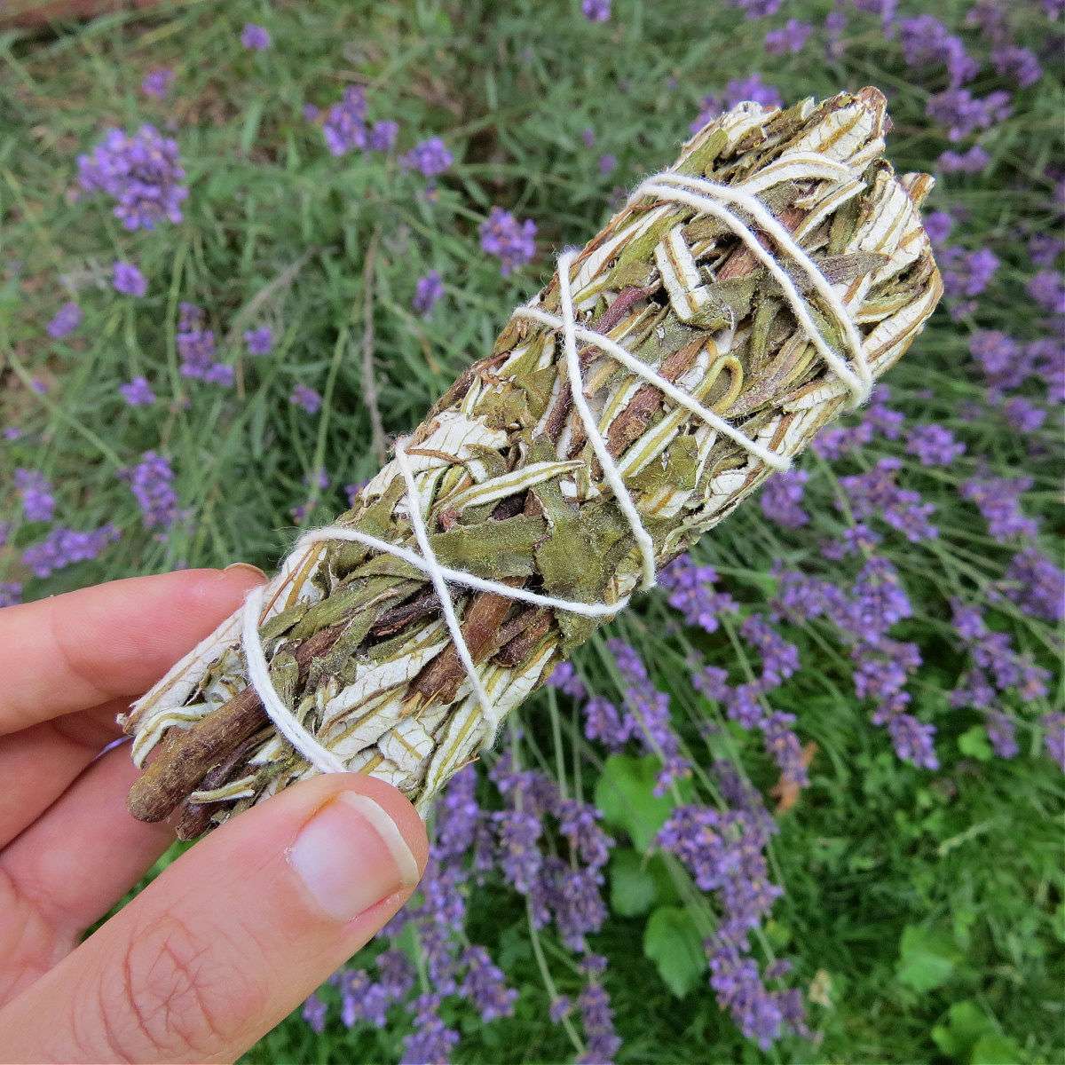 Yerba Santa Smudge Stick 4"