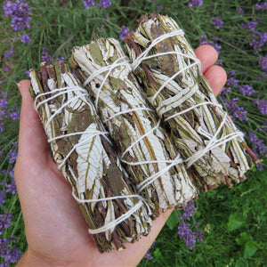 Yerba Santa Smudge Stick 4" Holy Herb Bundle